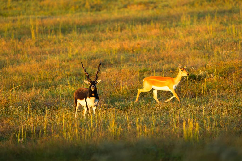 10326 County Road 3112 Property Photo 17