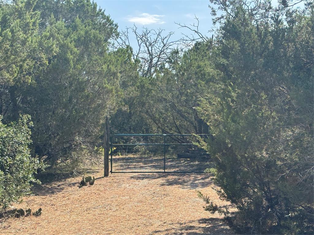 Tbd Cr 304 Road Property Photo 4