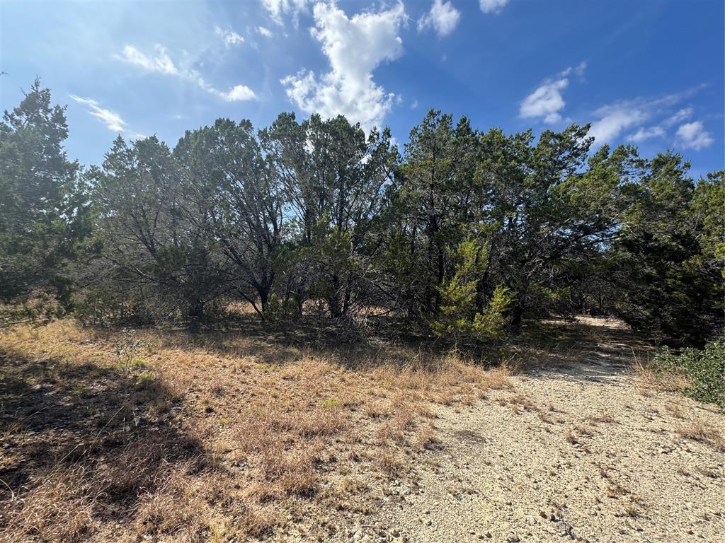 Tbd Cr 304 Road Property Photo 7