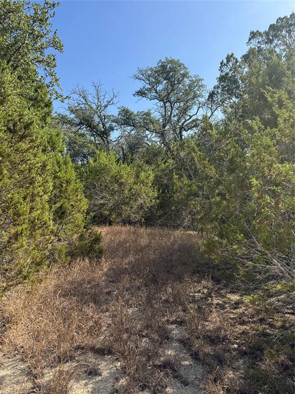 Tbd Cr 304 Road Property Photo 8