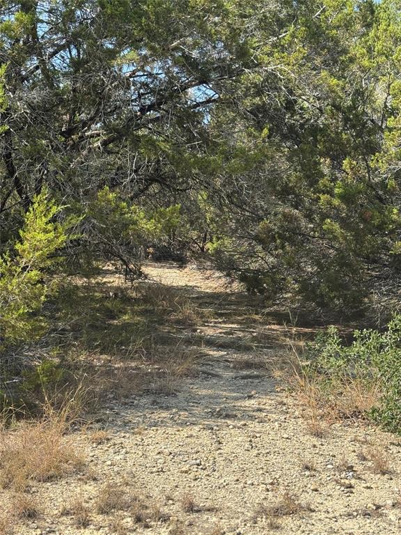 Tbd Cr 304 Road Property Photo 9
