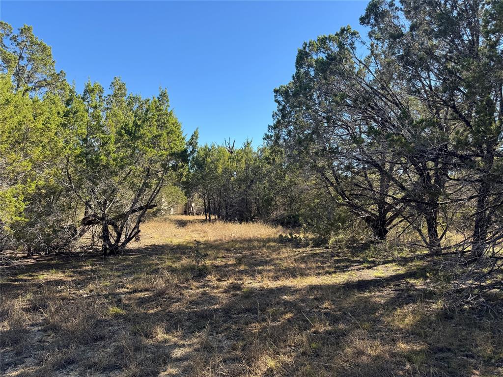 Tbd Cr 304 Road Property Photo 11