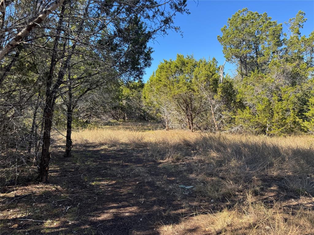 Tbd Cr 304 Road Property Photo 12