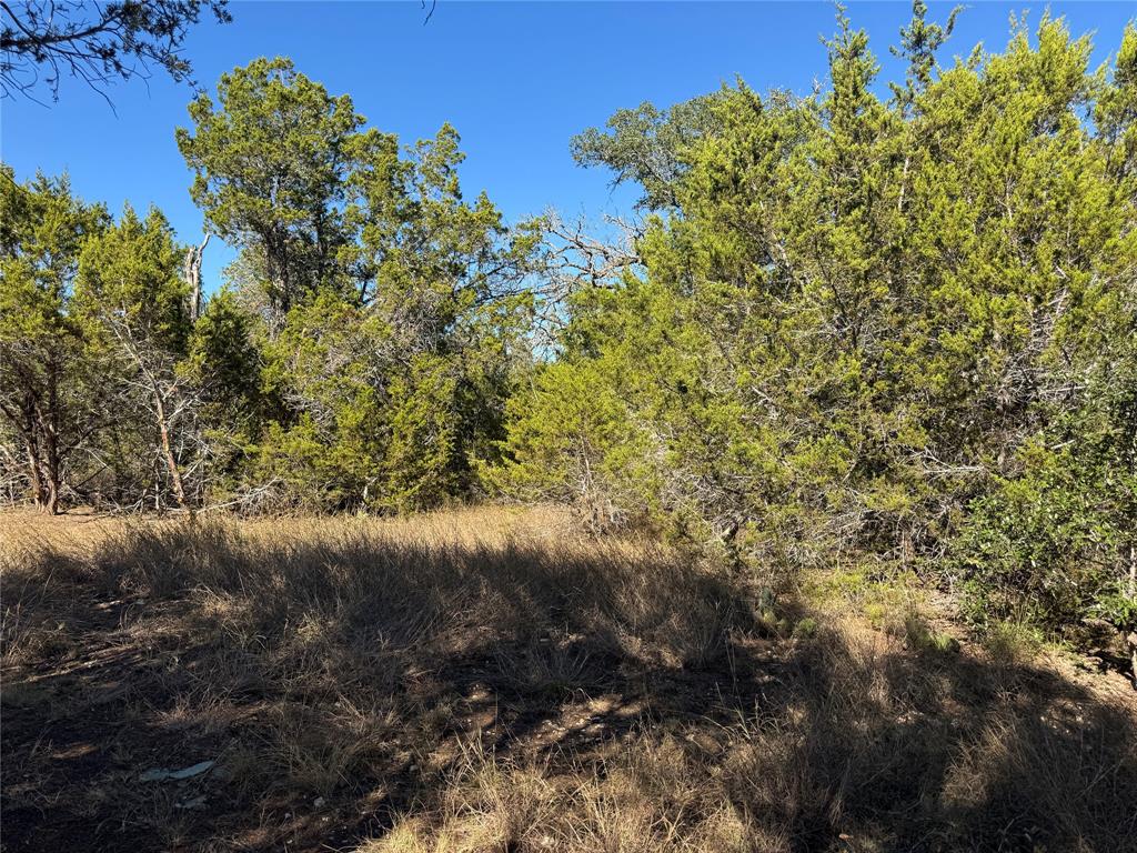 Tbd Cr 304 Road Property Photo 13
