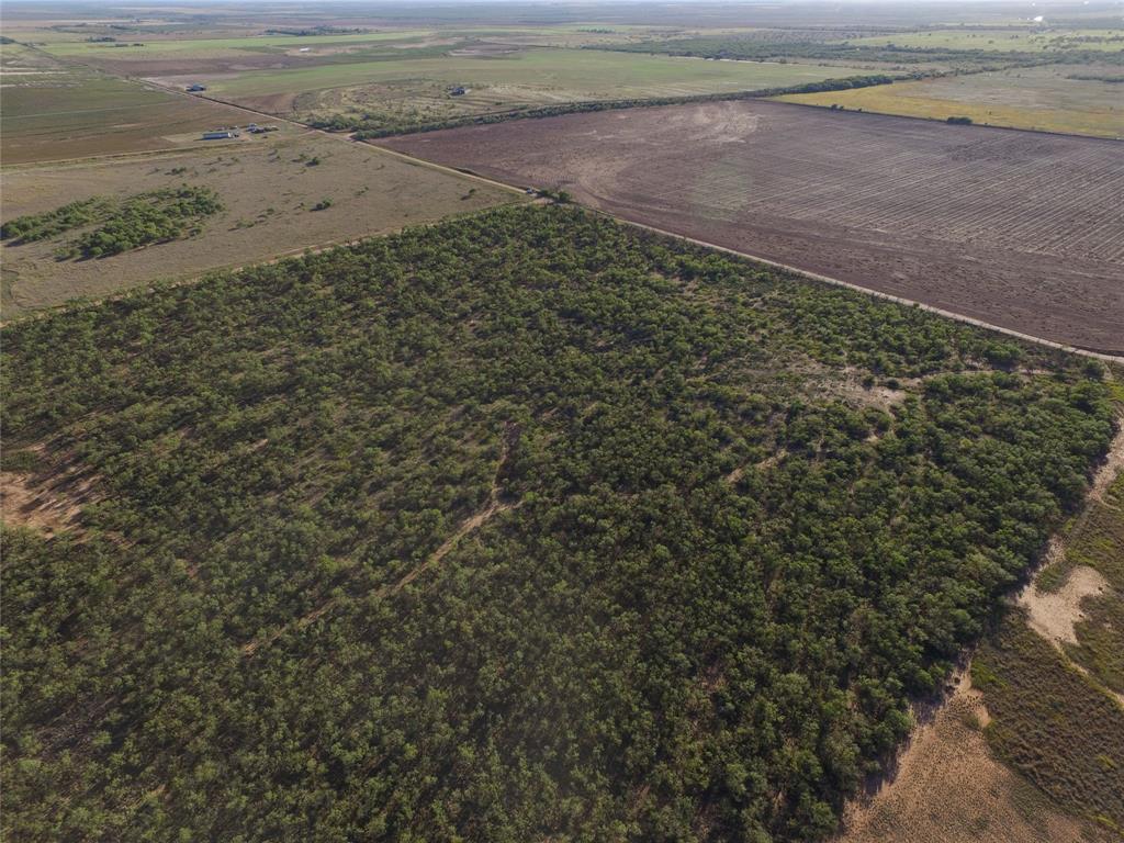 Tbd Fm 1224 Property Photo 7