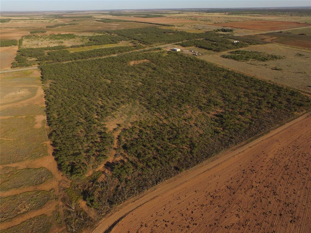Tbd Fm 1224 Property Photo 8