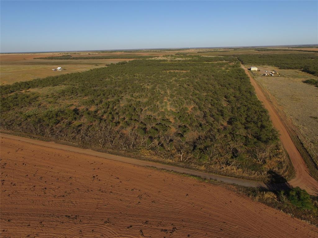 Tbd Fm 1224 Property Photo 10