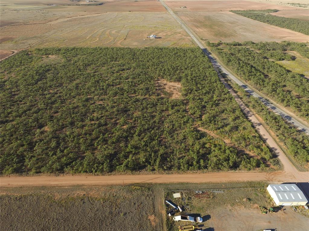 Tbd Fm 1224 Property Photo 11