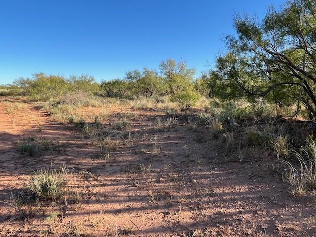 Tbd Fm 1224 Property Photo 16