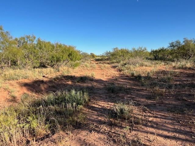 Tbd Fm 1224 Property Photo 17