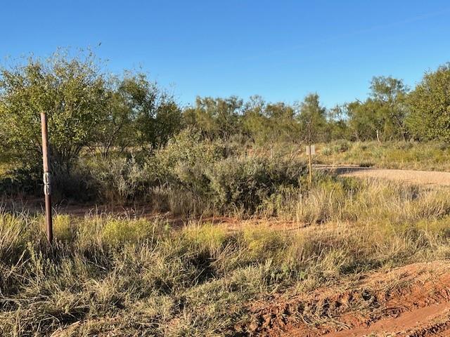 Tbd Fm 1224 Property Photo 32