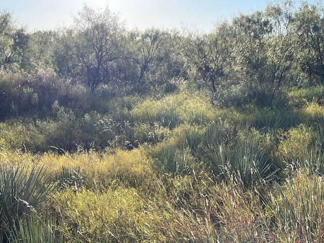 Tbd Fm 1224 Property Photo 34