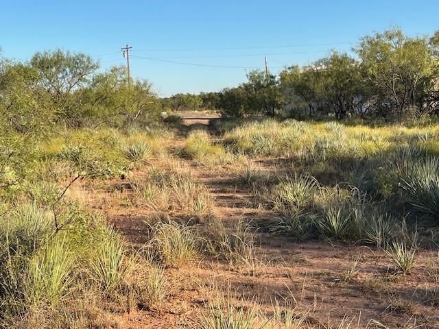 Tbd Fm 1224 Property Photo 38