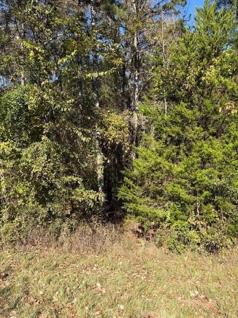 17851 Fm 3079 Property Photo 2