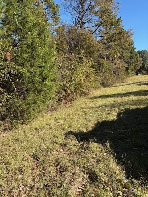 17851 Fm 3079 Property Photo 4