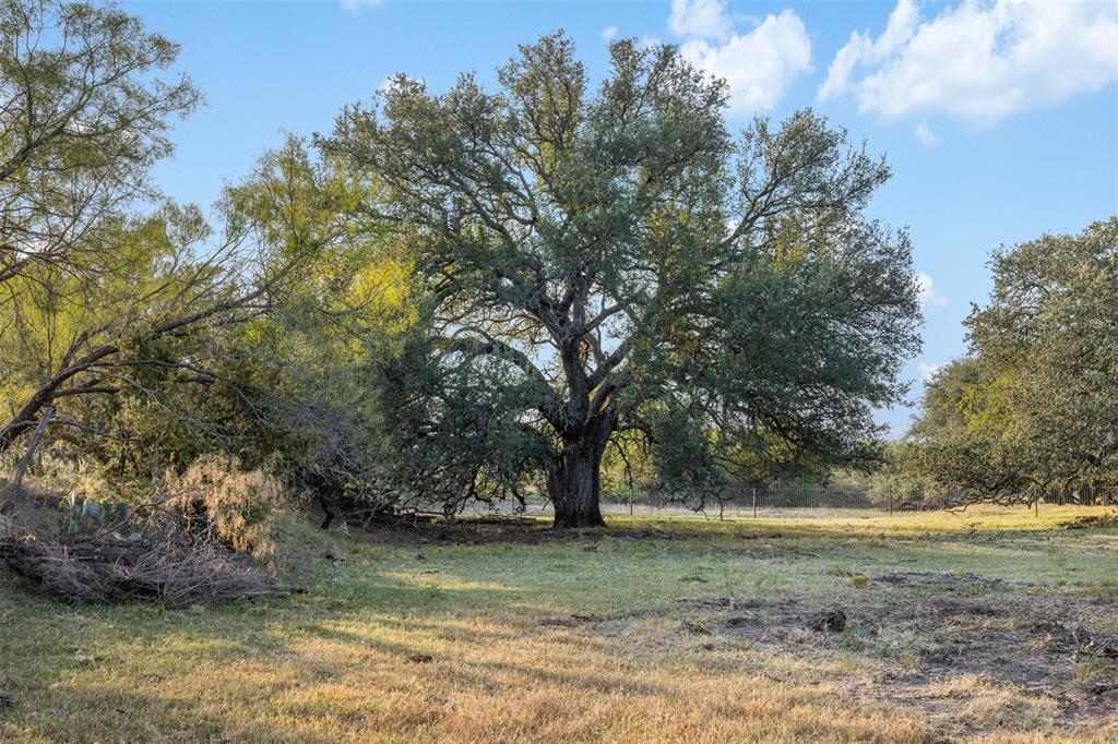 Tract 3 Tbd Cr 424 Property Photo 1