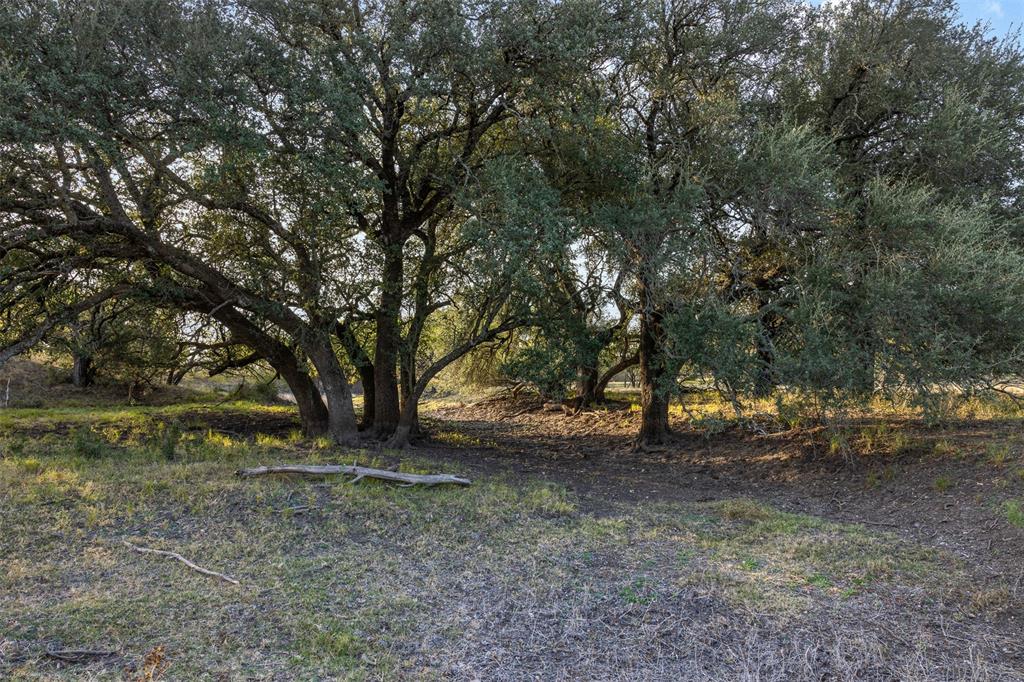 Tract 3 Tbd Cr 424 Property Photo 11
