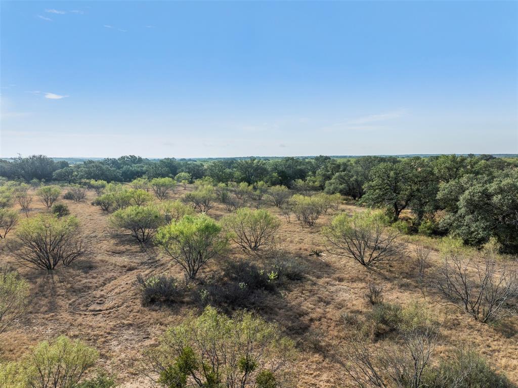 Tract 3 Tbd Cr 424 Property Photo 17