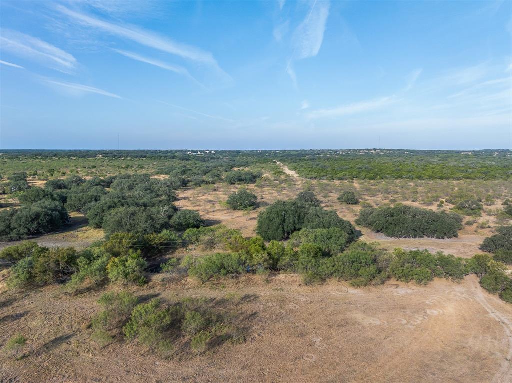 Tract 3 Tbd Cr 424 Property Photo 18