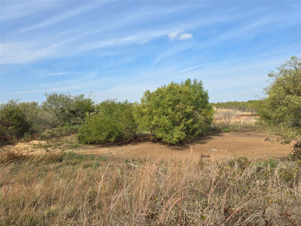 Tbd County Road 298 Property Photo 4