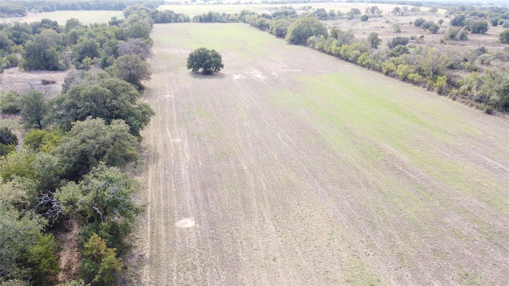 Tbd County Road 298 Property Photo 20