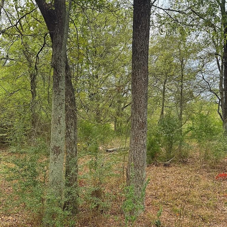 Tbd Vzcr 1118 Property Photo 3