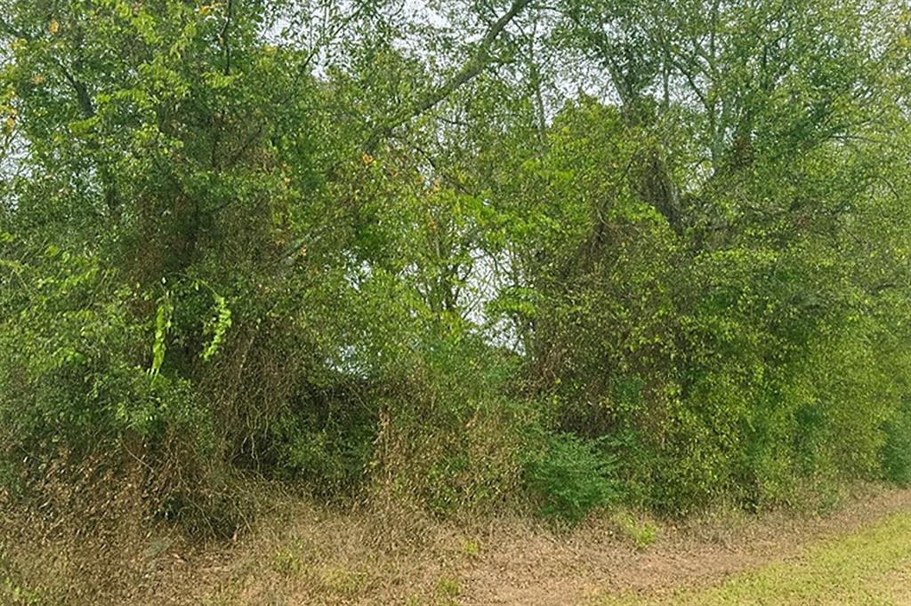 Tbd Vzcr 1118 Property Photo 6