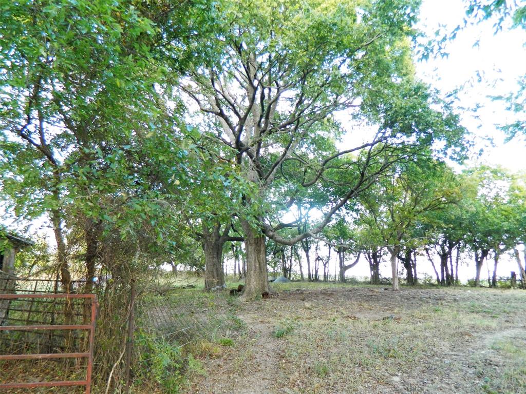 6323 Fm 896 Highway Property Photo 6