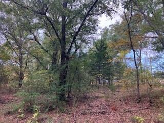 TBD Lot 16 Westwood Drive