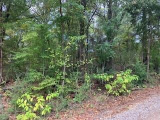 Tbd Lot 17 Westwood Drive Property Photo 1