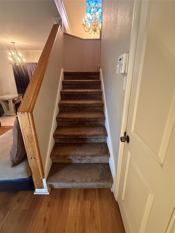 10216 Big Thicket Drive Property Photo 12