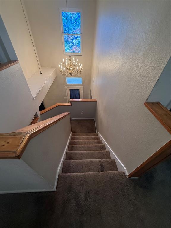 10216 Big Thicket Drive Property Photo 20