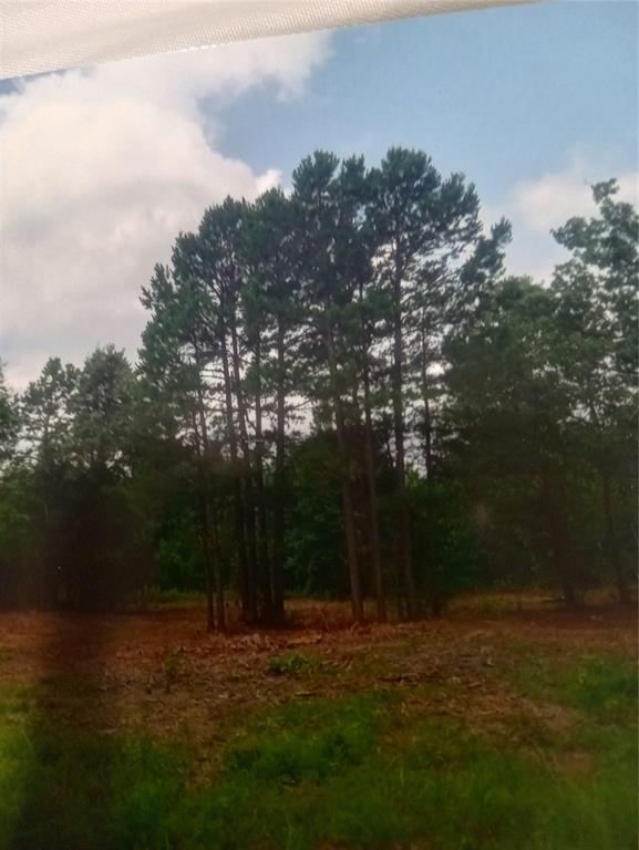165 County Rd 2613 Property Photo 8