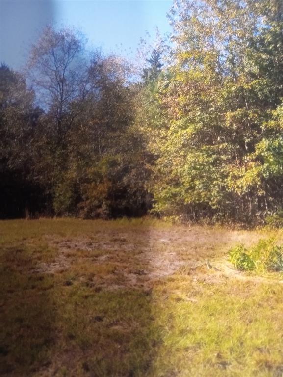 165 County Rd 2613 Property Photo 10