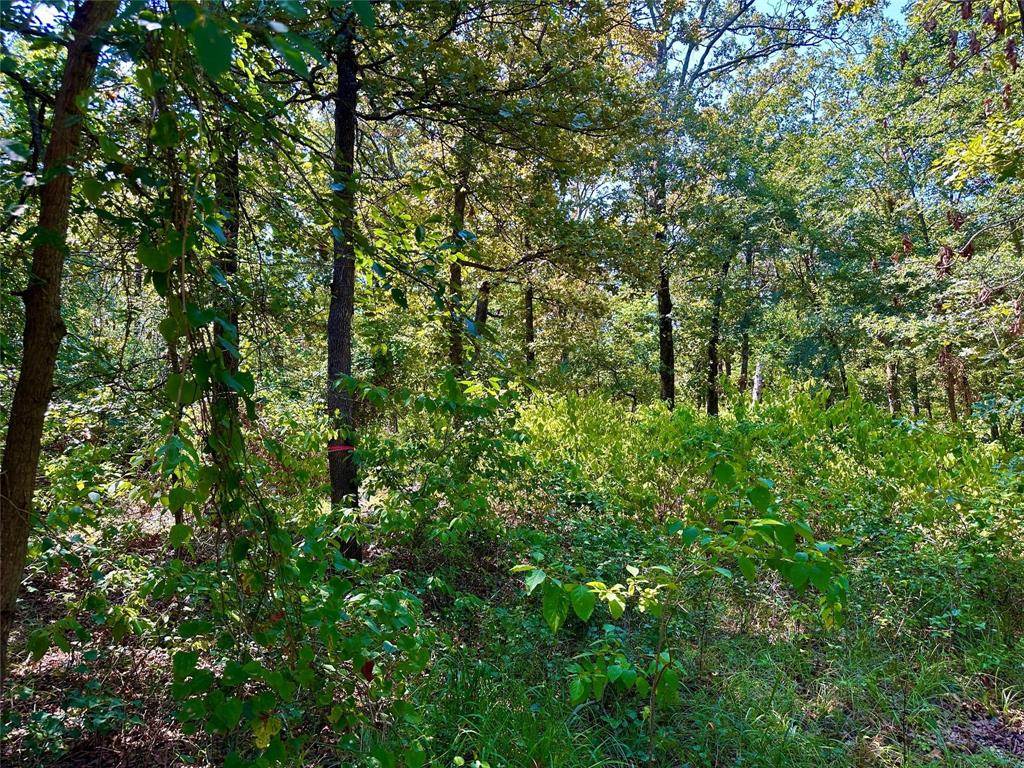 0000 County Road 3641 Property Photo 1