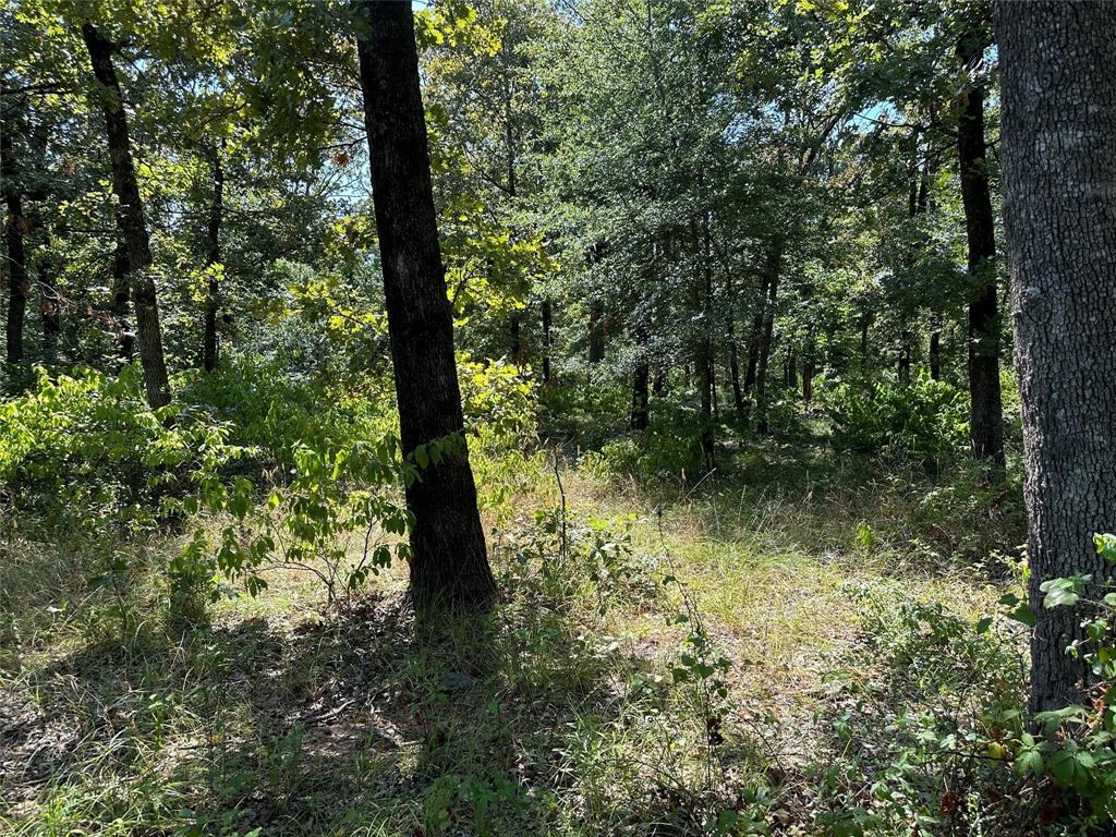 0000 County Road 3641 Property Photo 6