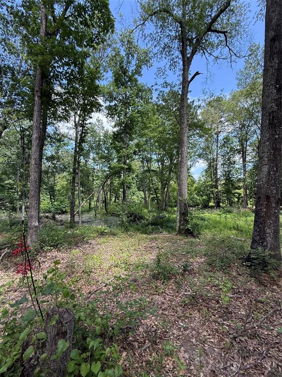Tbd Pr 1332 Property Photo 2