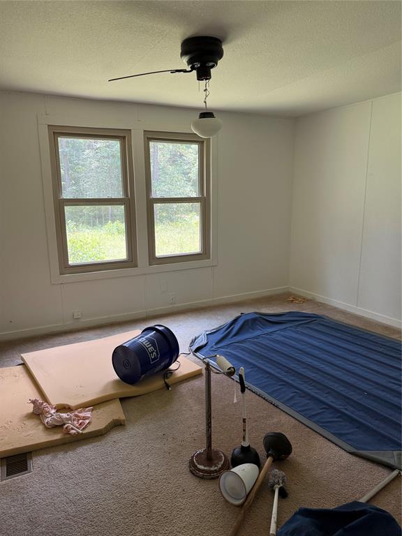Tbd Pr 1332 Property Photo 9
