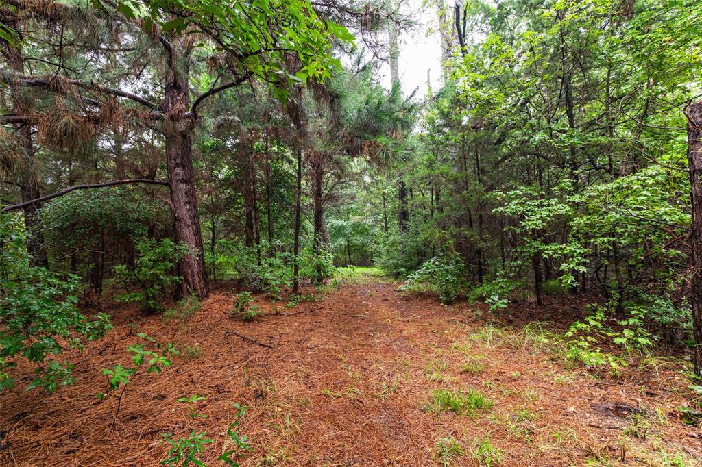 7111 Fm 2339 Property Photo 14