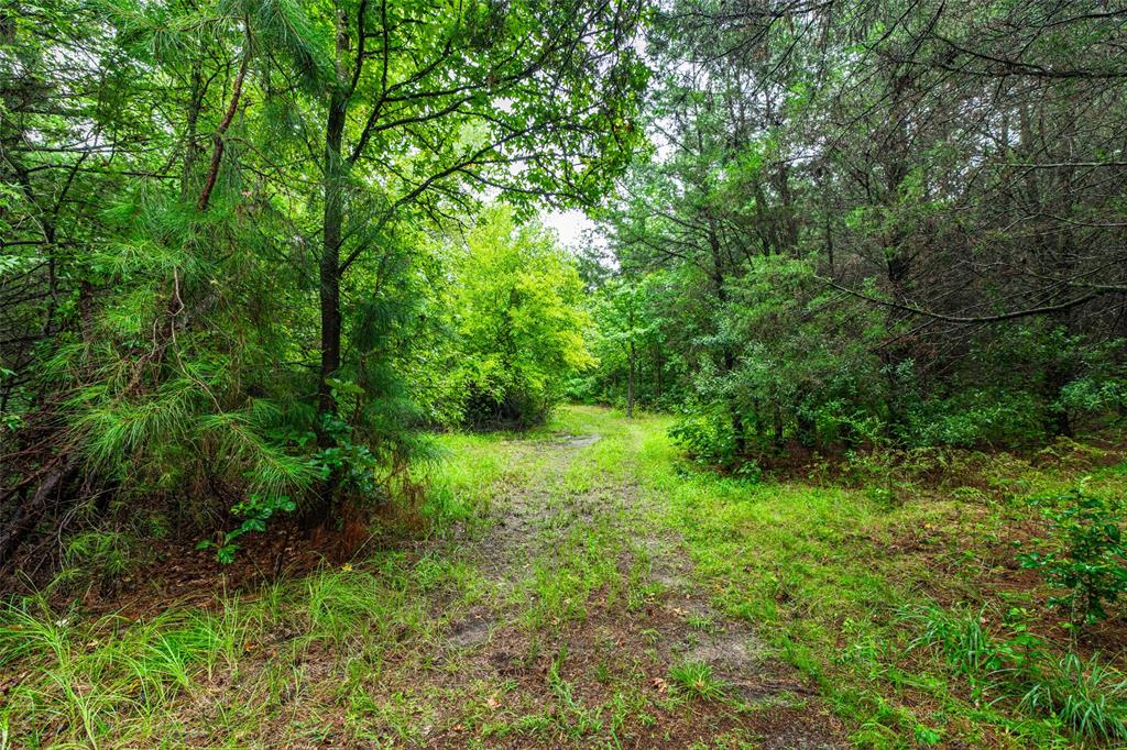 7111 Fm 2339 Property Photo 15