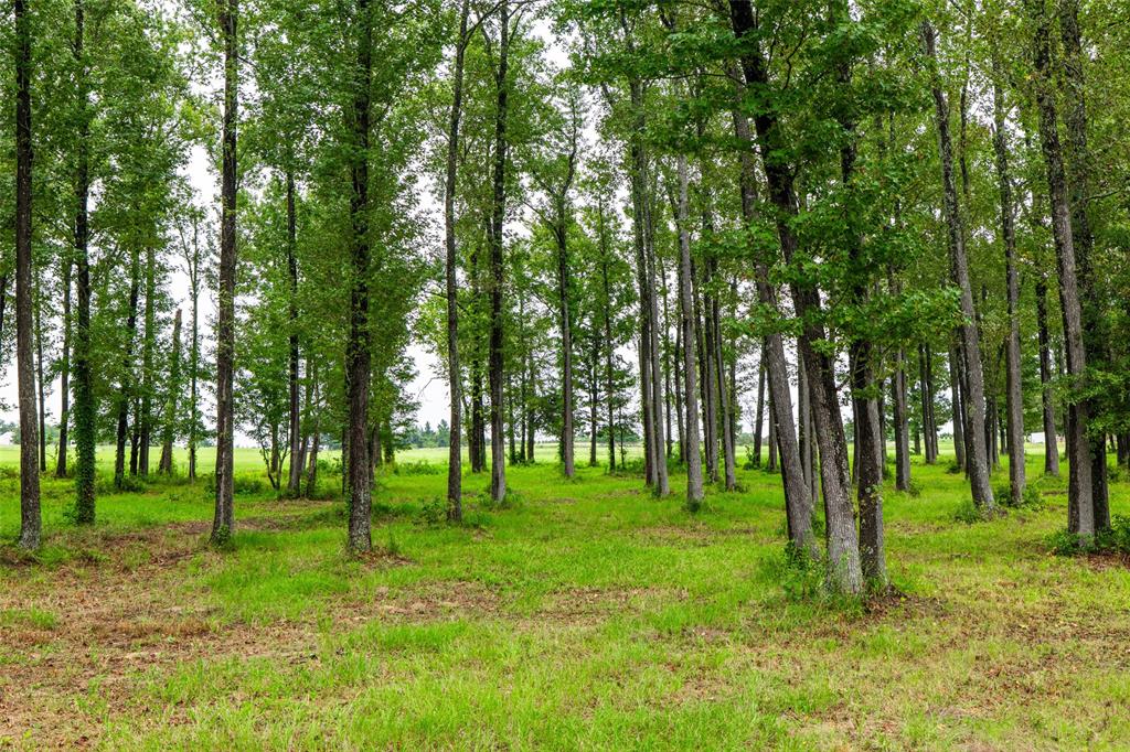 7111 Fm 2339 Property Photo 32