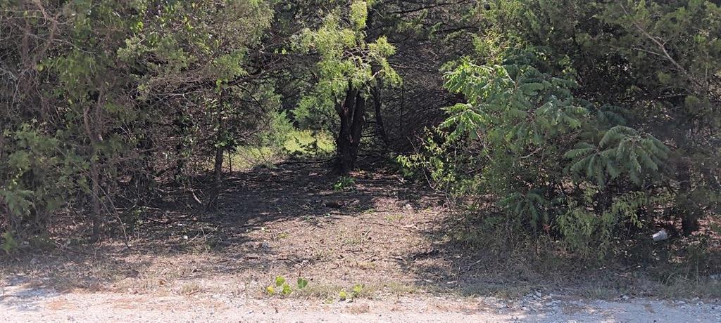 Twb County 3114 Road Property Photo 3