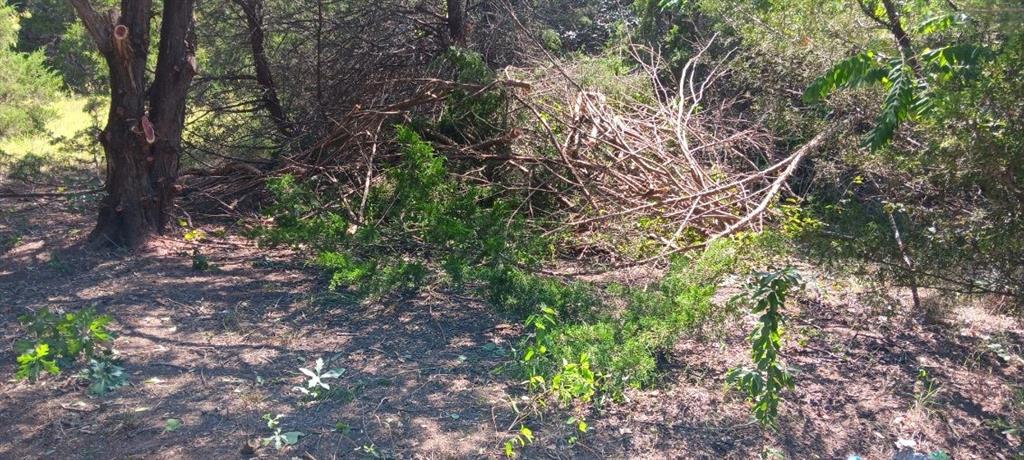 Twb County 3114 Road Property Photo 4