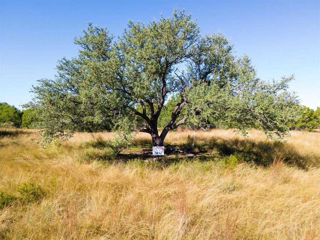 Tbd County Road 160 Property Photo 3
