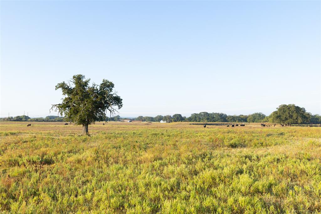 Tbd Brushy Road Tract 1 & 2 Property Photo 1