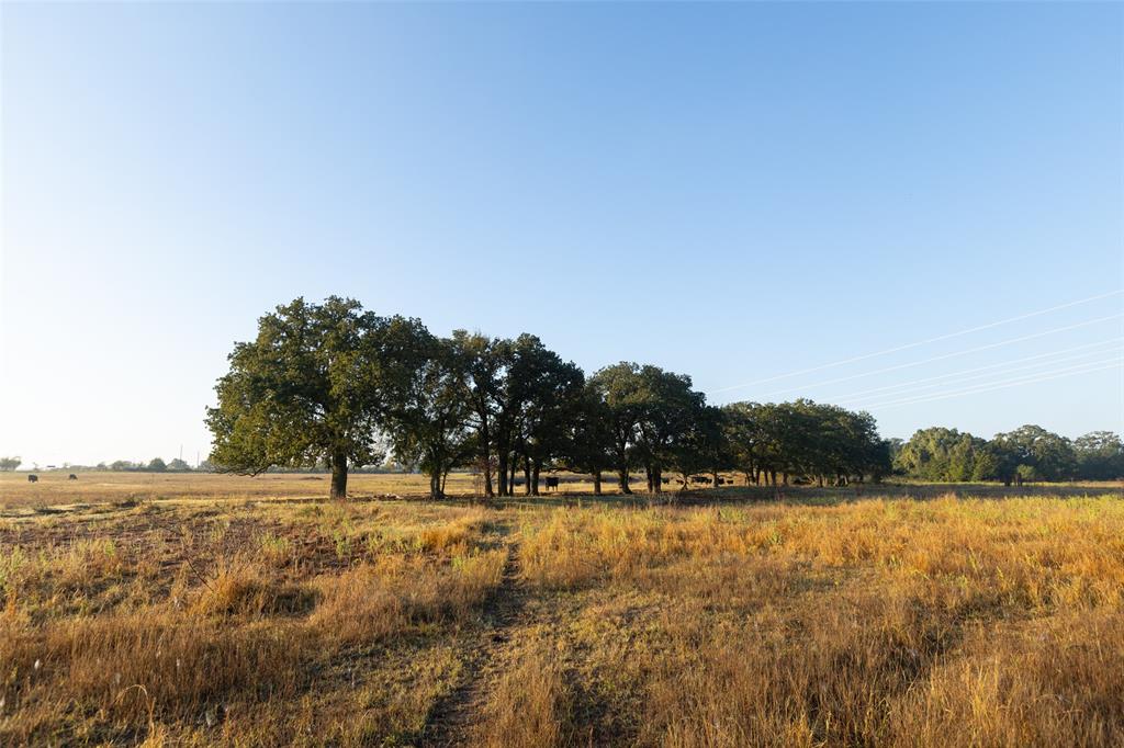 Tbd Brushy Road Tract 4 Property Photo 19