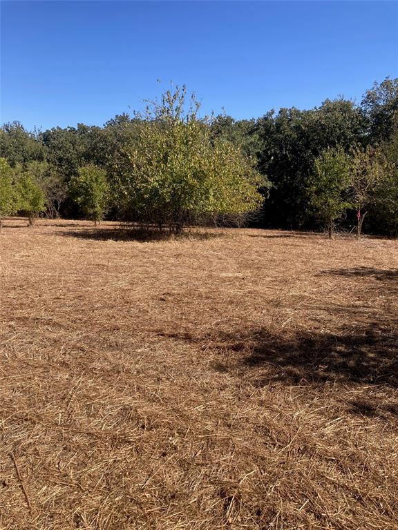 1615 Cr 429 Property Photo 3