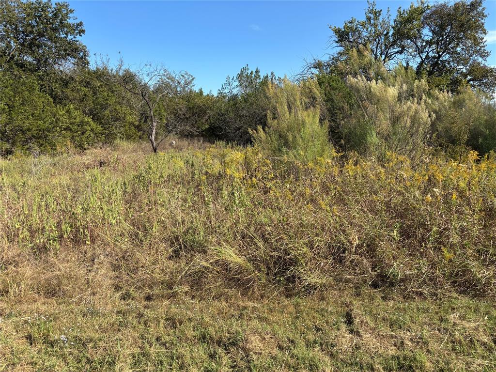 38128 Brookside Drive Property Photo 1