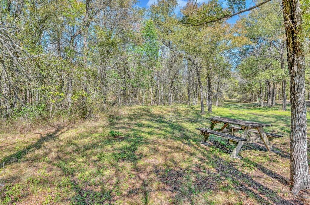 556 Wildwood Trail Property Photo 6