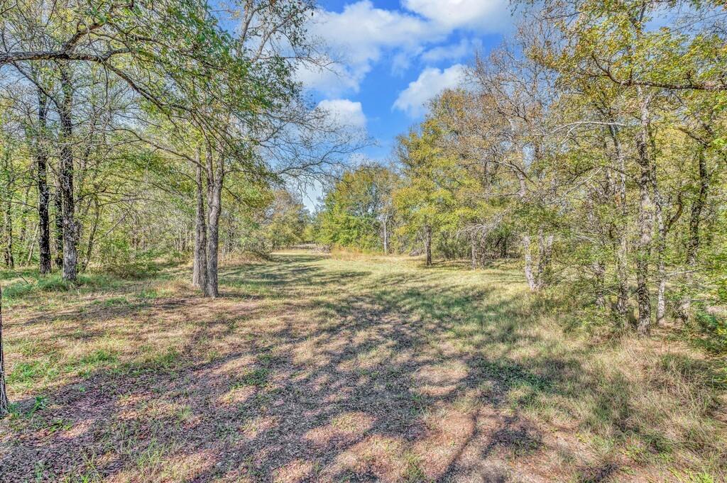 556 Wildwood Trail Property Photo 7
